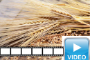 NEU: Wir veröffentlichen Ihre Videos….